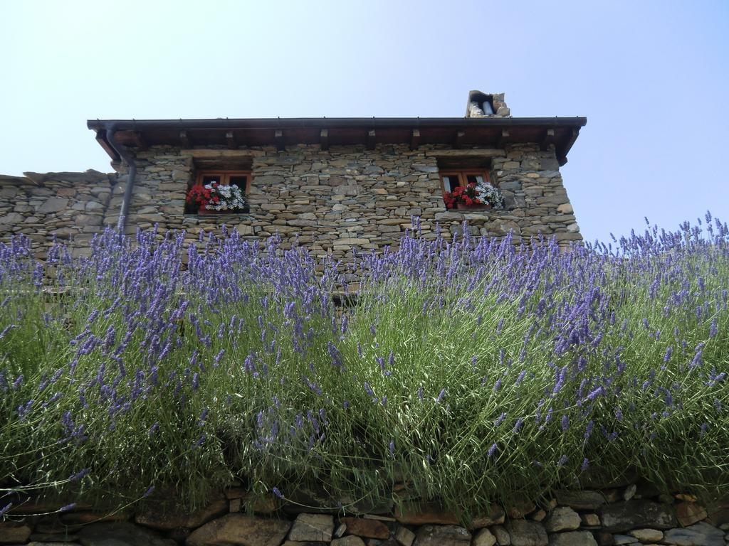 Agriturismo La Fontana Dell'Olmo Molini di Triora Bagian luar foto